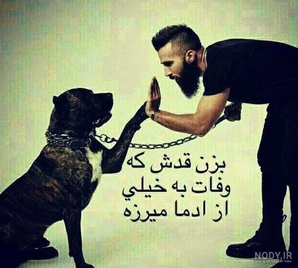 عکس سگ قلدر