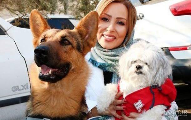 عکس سگ هاسکی عکس سگ هاسکی