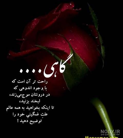 عکس گل شکسته