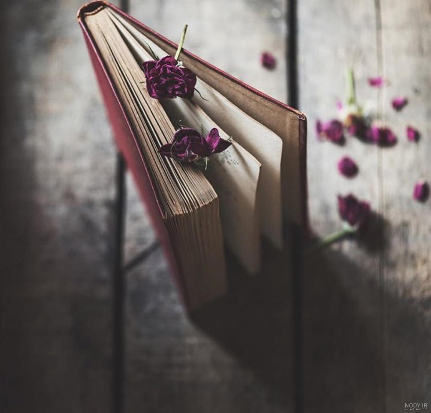 عکس گل پژمرده برای پروفایل
