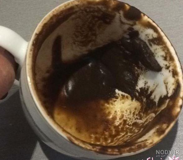 پای پرنده در فال قهوه