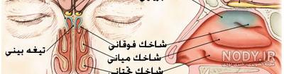 کی انحراف بینی عمل کرده کی انحراف بینی عمل کرده