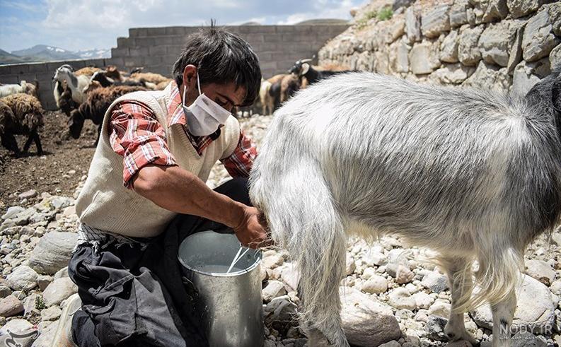اقامت در روستای لیقوان اقامت در روستای لیقوان