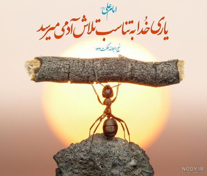 بهترین عکس مذهبی دنیا بهترین عکس مذهبی دنیا