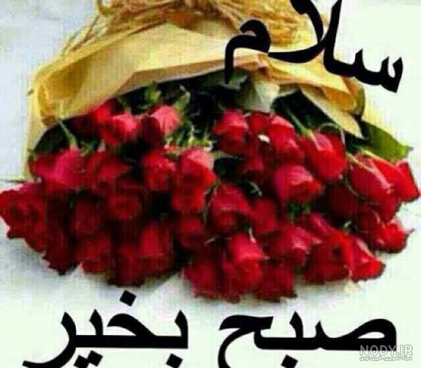 بیوگرافی صبح بخیر بیوگرافی صبح بخیر