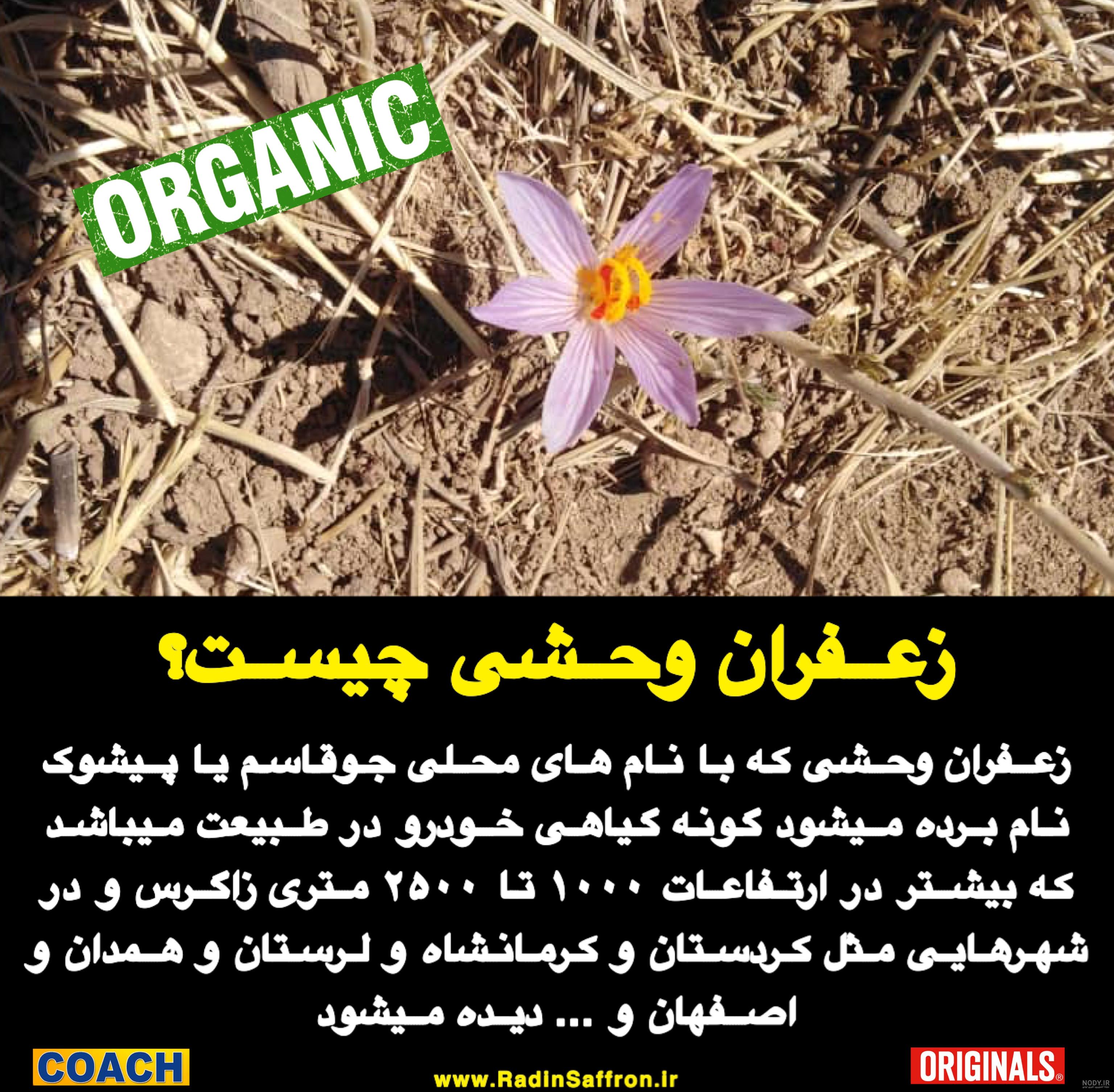 ترکیب زعفران و دارچین برای پریود شدن ترکیب زعفران و دارچین برای پریود شدن