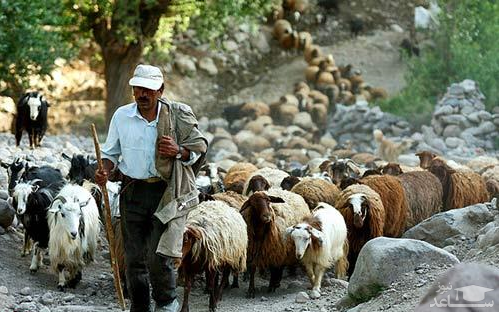 تصاویر روستای لیقوان تصاویر روستای لیقوان