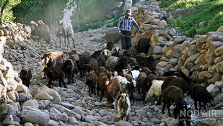جاهای دیدنی روستای لیقوان جاهای دیدنی روستای لیقوان