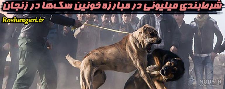 جنگ سگ علی پلنگ با گرگ