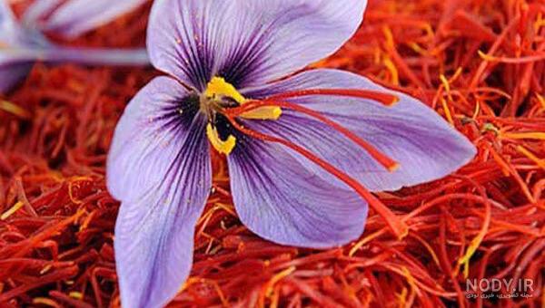 خواص زعفران برای کرونا خواص زعفران برای کرونا