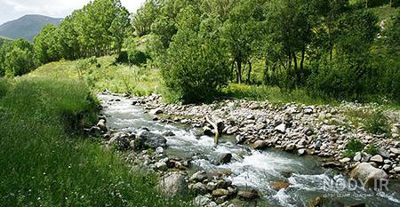 خواص پنیر لیقوان خواص پنیر لیقوان