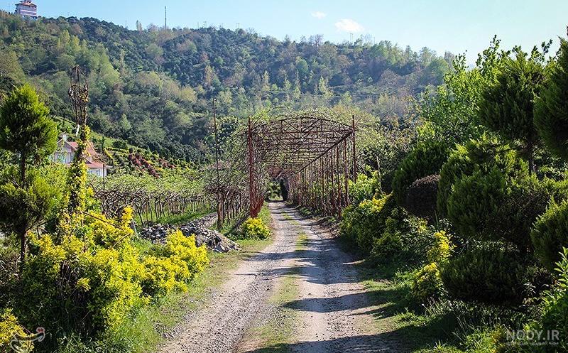 رودسر تا رشت