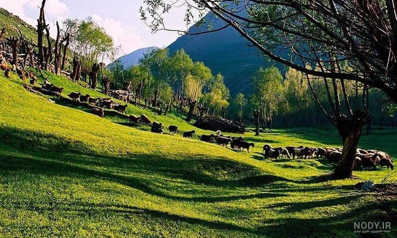 روستای لیقوان کجاست روستای لیقوان کجاست