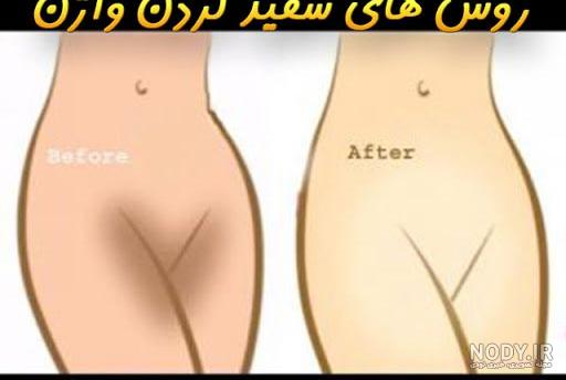 سگ خانگی کوچولو سگ خانگی کوچولو