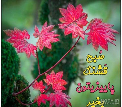 عکس صبح بخیر خدایی عکس صبح بخیر خدایی