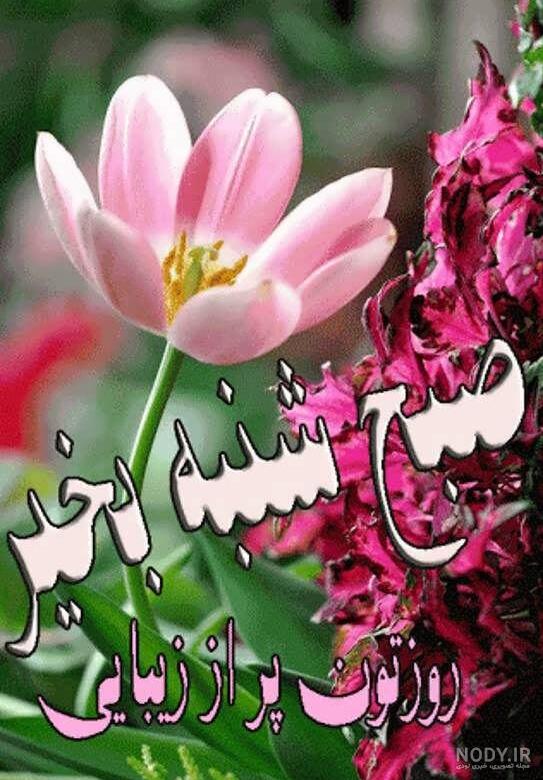 عکس صبح بخیر ساده عکس صبح بخیر ساده