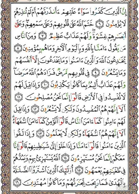 عکس صفحه ۲۴۶ قران کریم