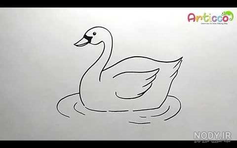 عکس طراحی قورباغه سه بعدی عکس طراحی قورباغه سه بعدی