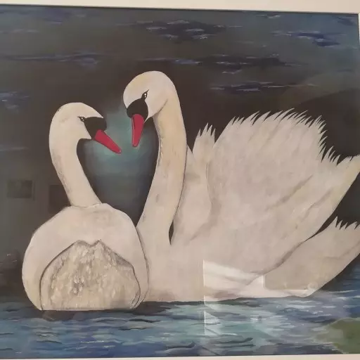 عکس نقاشی قو عکس نقاشی قو