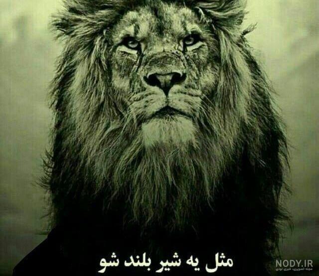 عکس نوشته انگیزشی شیر