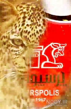 عکس پرسپولیس جدید 97 عکس پرسپولیس جدید 97