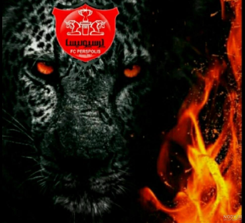 عکس پرسپولیس خفن عکس پرسپولیس خفن