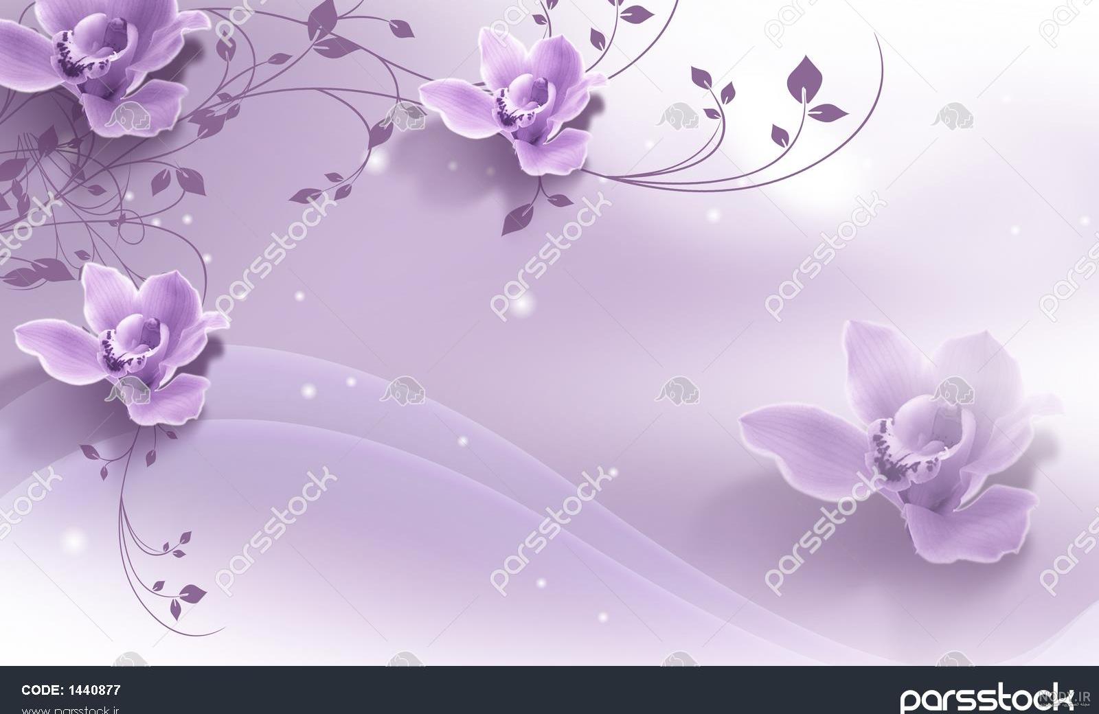 عکس گل سفید و بنفش عکس گل سفید و بنفش