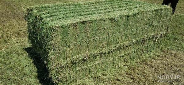 عکس یونجه پرس