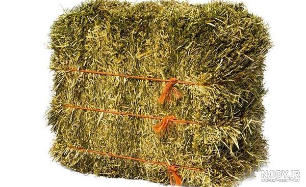 قیمت امروز یونجه