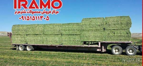 قیمت هر کیلو یونجه خشک