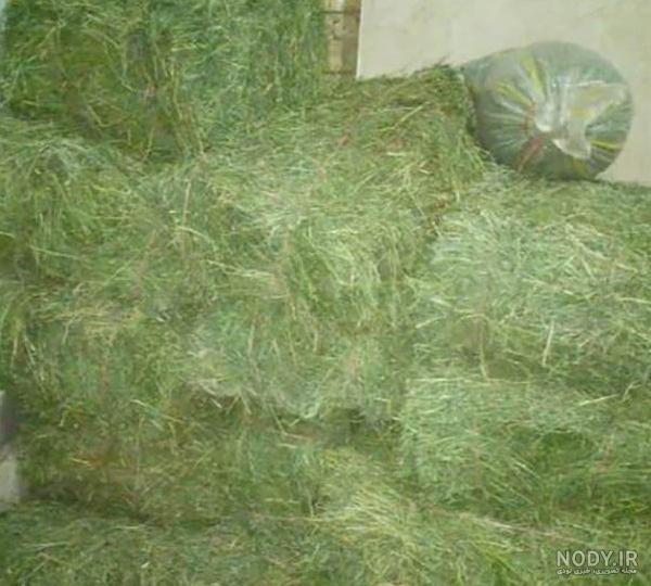 قیمت پرس یونجه