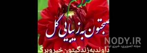 متن صبح بخیر انگیزشی شاد متن صبح بخیر انگیزشی شاد