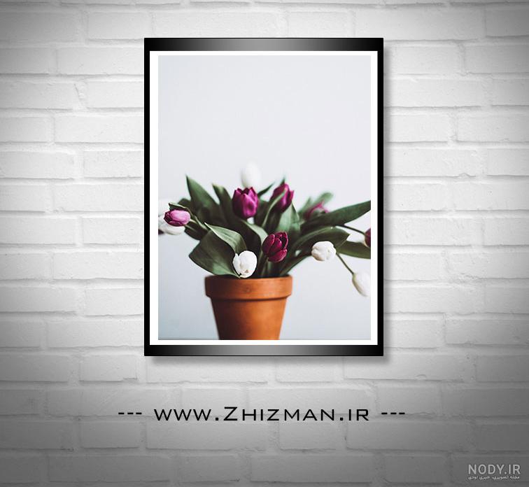 پس زمینه بنفش روشن پس زمینه بنفش روشن