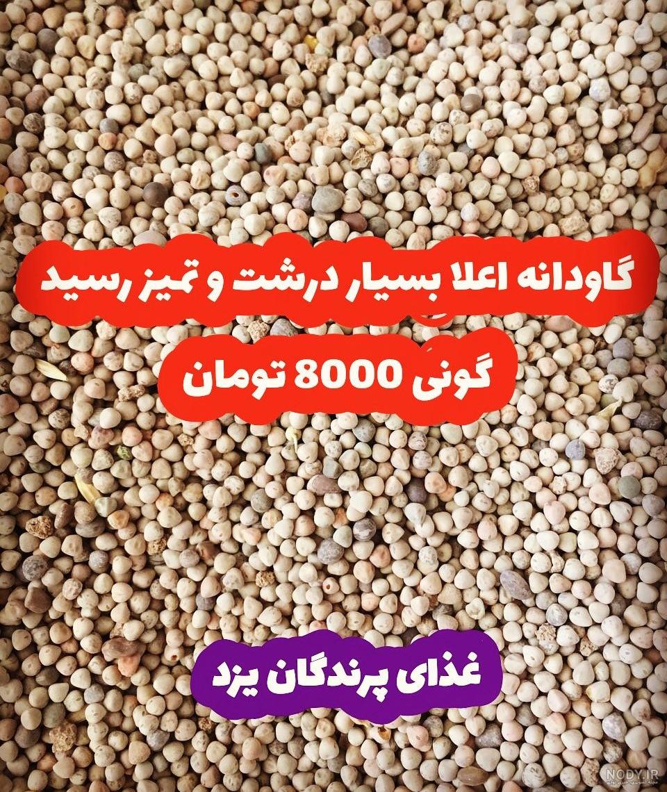 خواص گاودانه در طب سنتی خواص گاودانه در طب سنتی