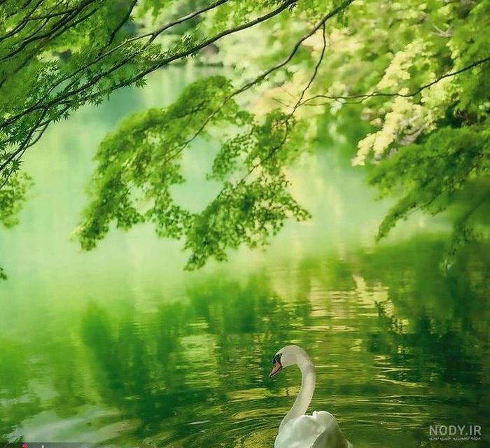 دانلود عکس طبیعت برای موبایل