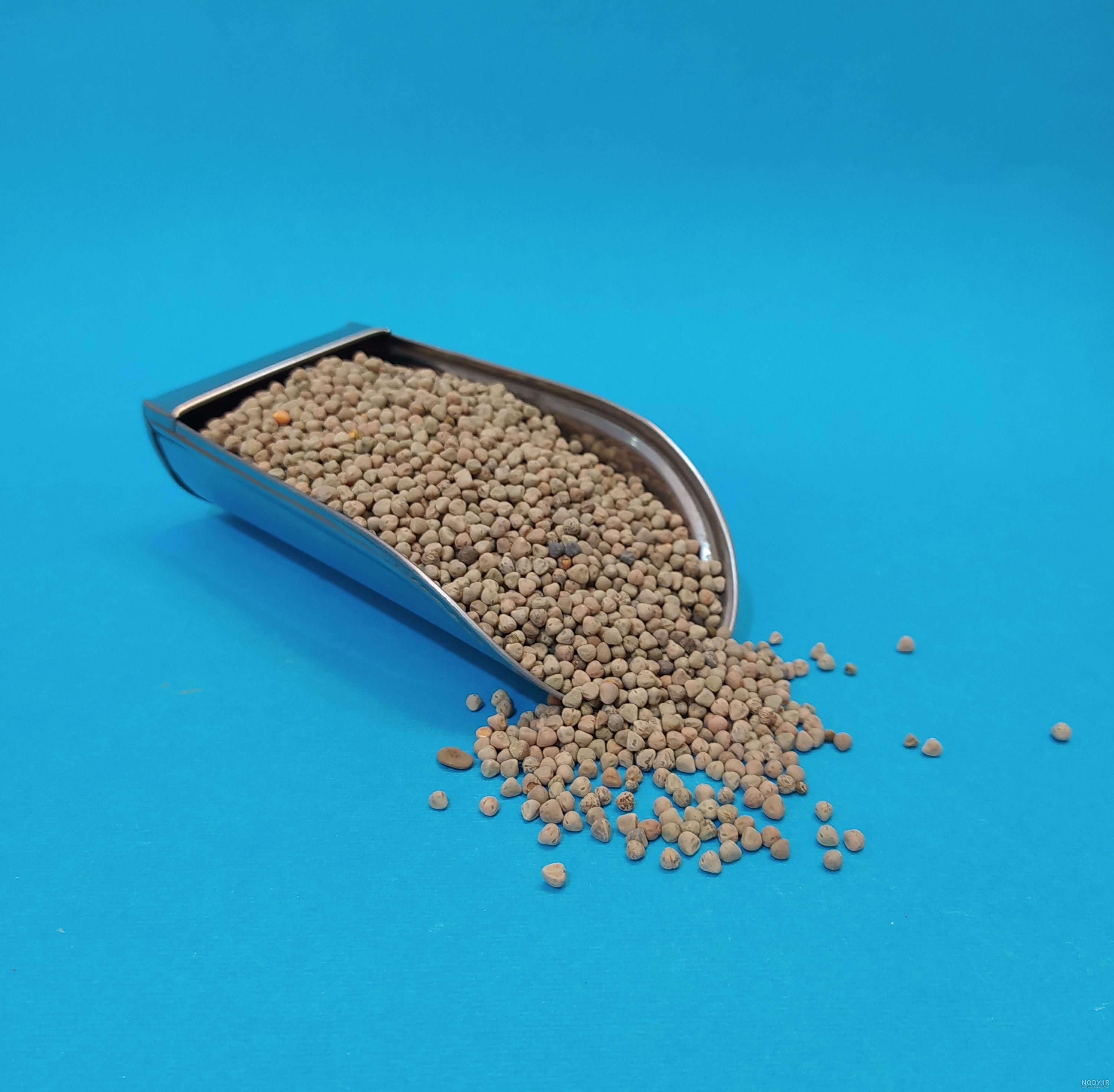 عکس سبزه ی گاودانه عکس سبزه ی گاودانه