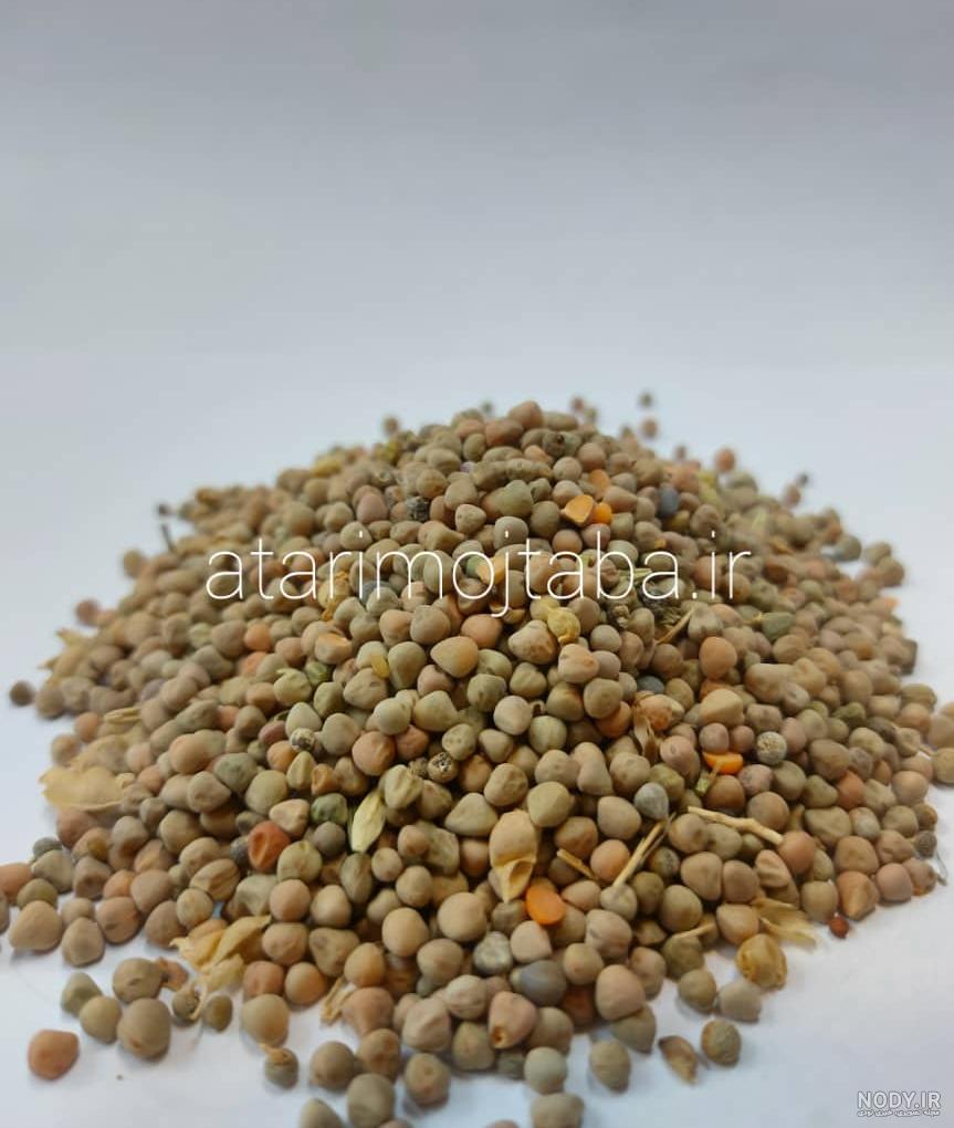 عکس های گاودانه عکس های گاودانه