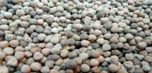 عکس گاودانه کبوتر عکس گاودانه کبوتر