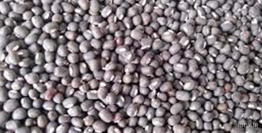 مزاج گاودانه مزاج گاودانه