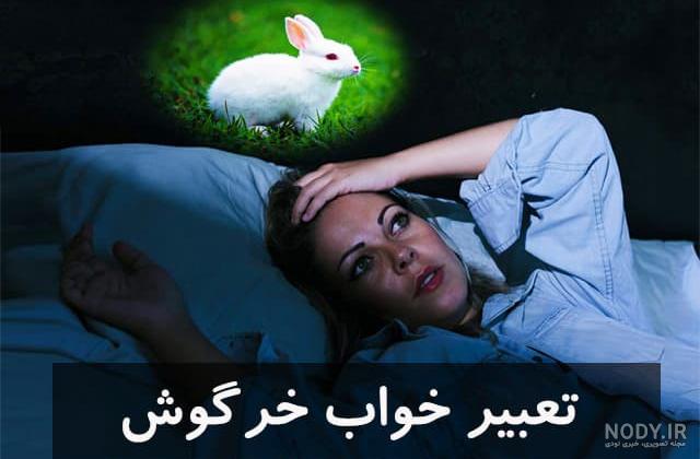 نگهداری خرگوش در خانه چه حکمی دارد نگهداری خرگوش در خانه چه حکمی دارد
