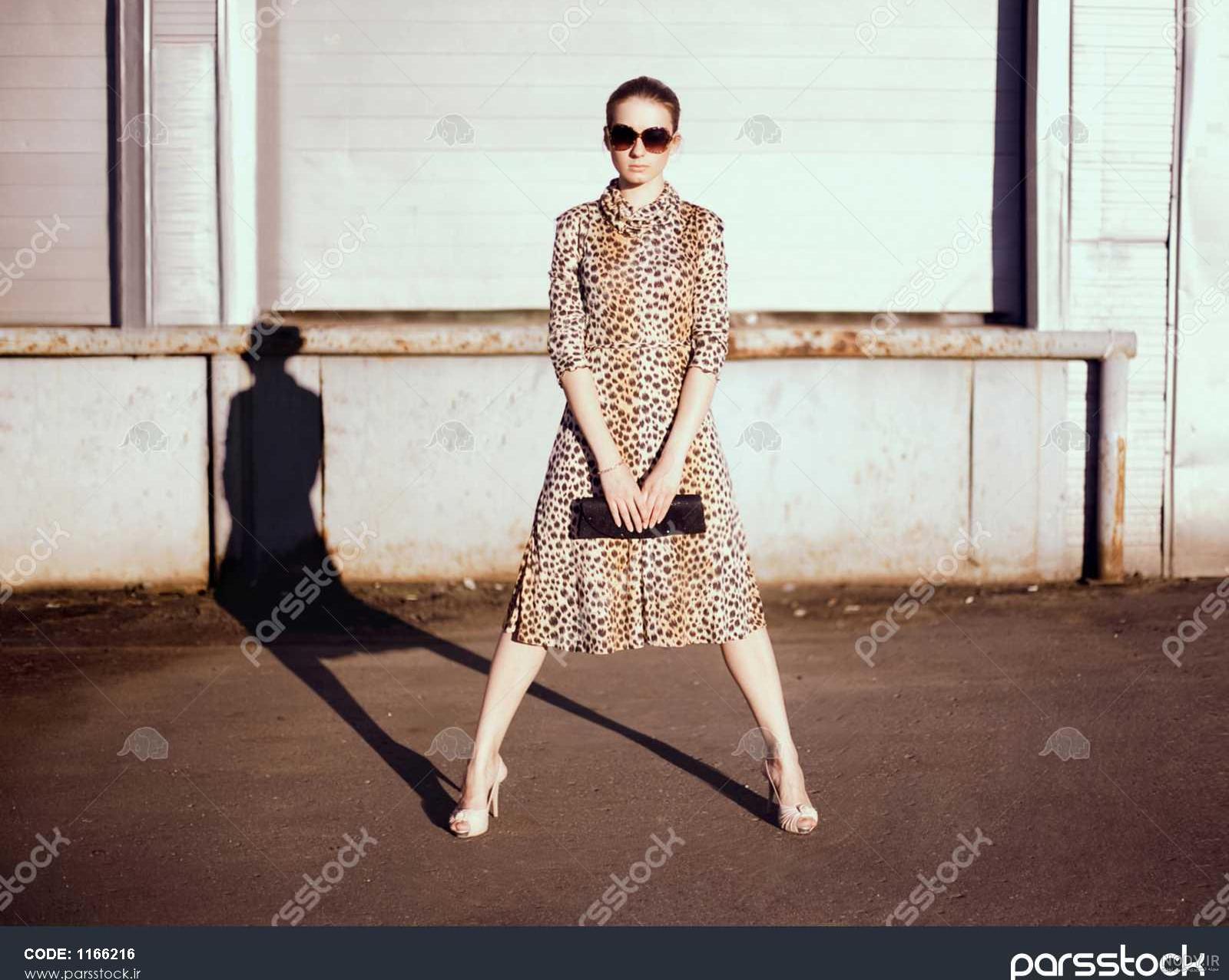 پلنگ های مجازی پلنگ های مجازی