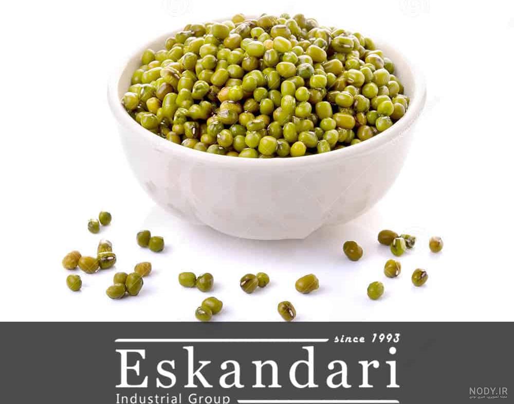 گاودانه در بدنسازی گاودانه در بدنسازی