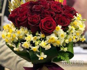 تصویر گل نرگس زرد تصویر گل نرگس زرد