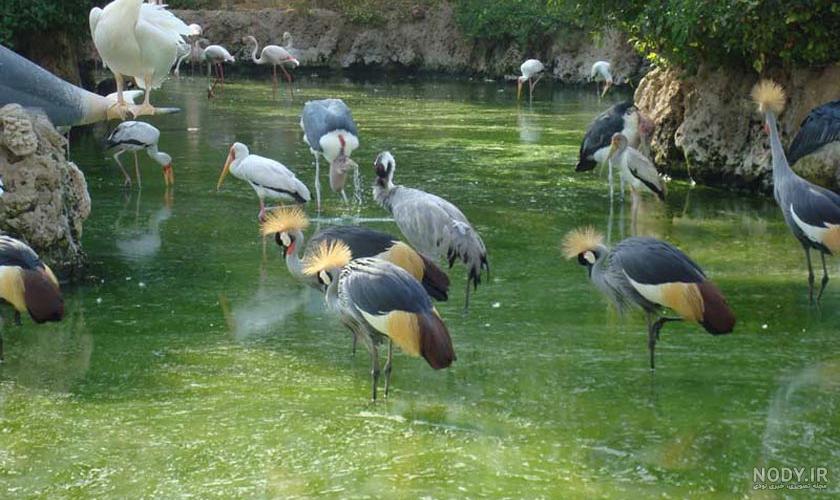 جاهای دیدنی چهارباغ کرج