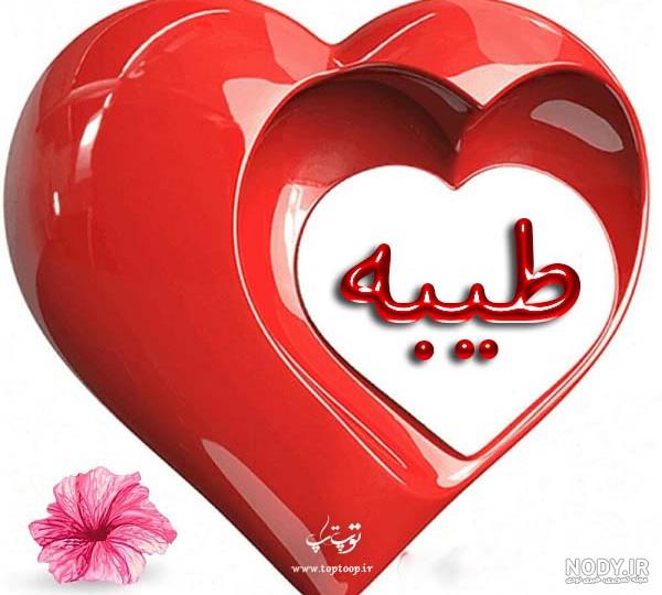 رضا نجفی مترجم رضا نجفی مترجم