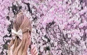 عکس بهاری برای پروفایل گروه عکس بهاری برای پروفایل گروه