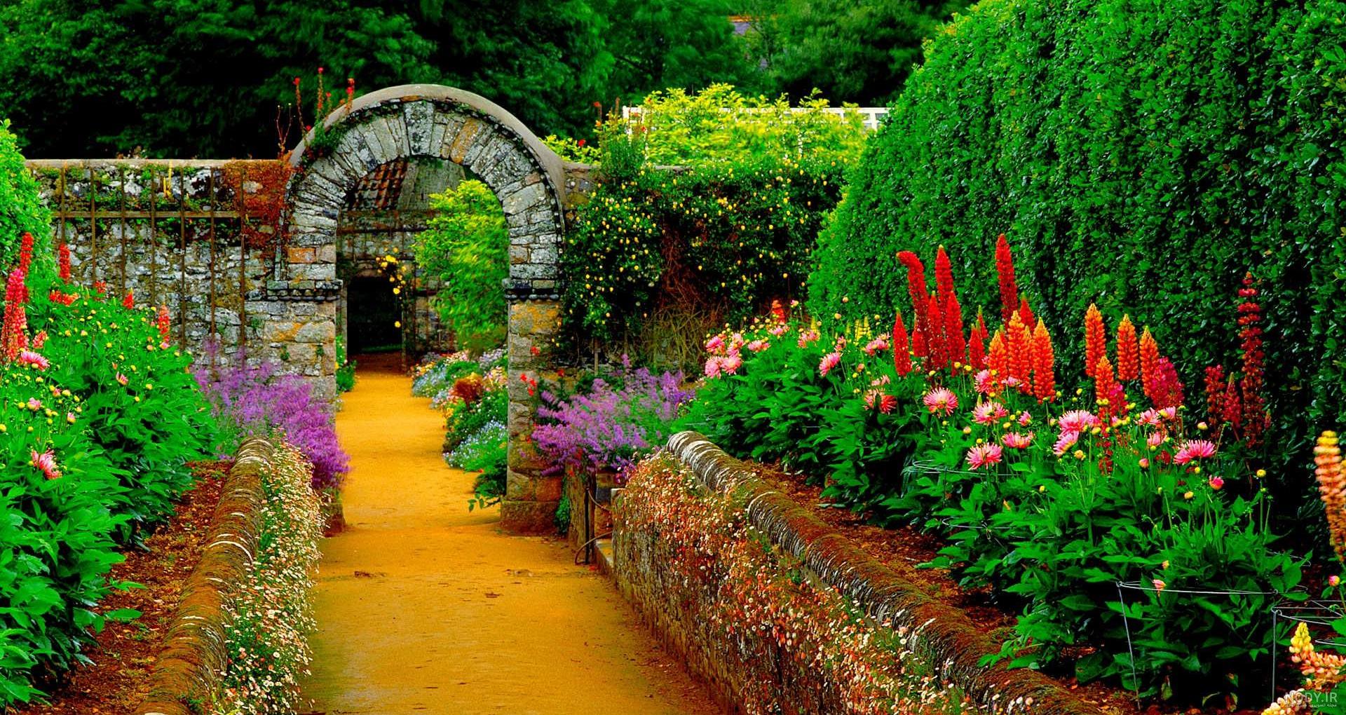عکس طبیعت واقعی