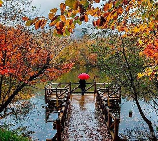 عکس طبیعت واقعی برای تصویر زمینه