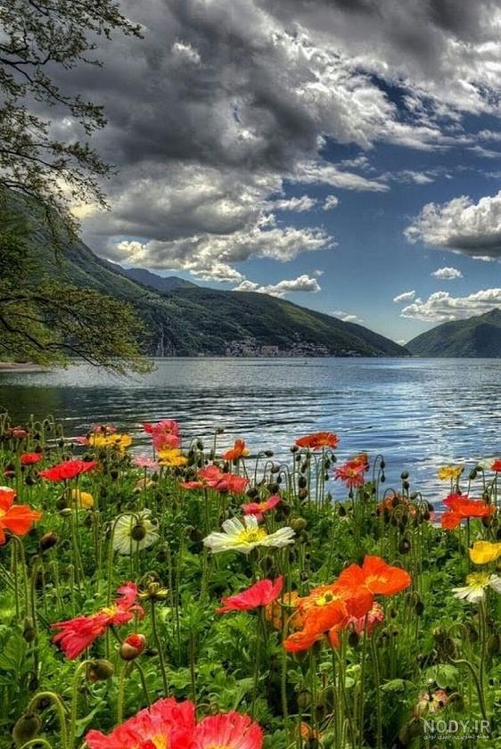 عکس طبیعت واقعی بهار