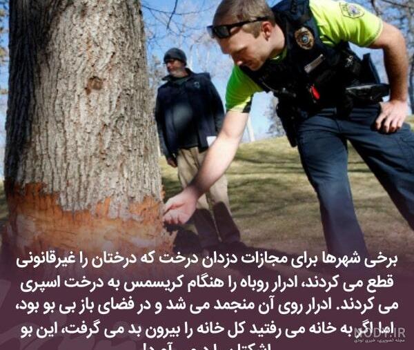 عکس مرینت و آدرین و لوکا